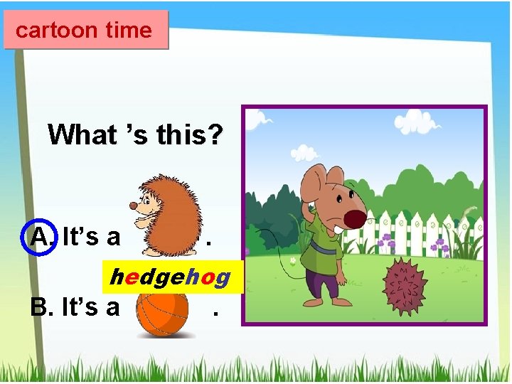 cartoon time What ’s this? A. It’s a . hedgehog B. It’s a .