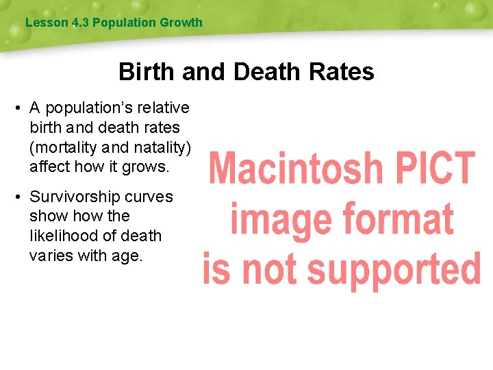 Lesson 4. 3 Population Growth Birth and Death Rates • A population’s relative birth