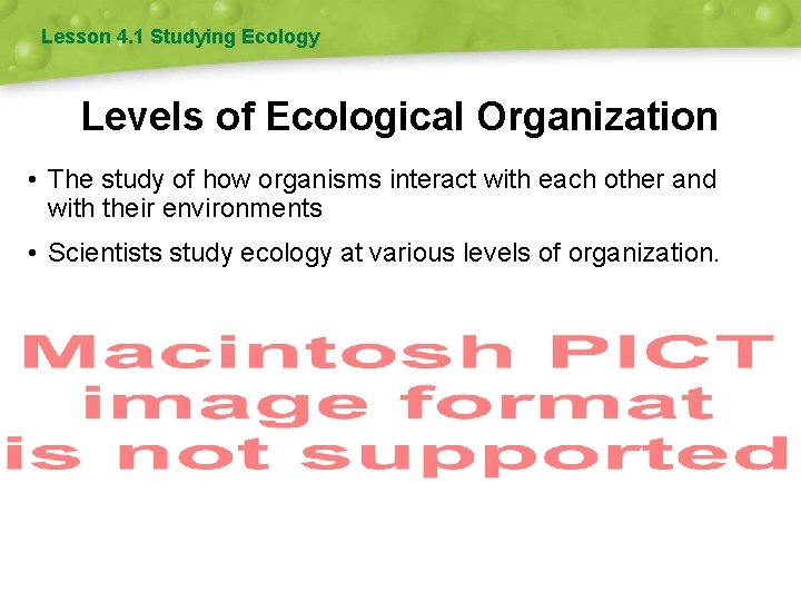 Lesson 4. 1 Studying Ecology Levels of Ecological Organization • The study of how