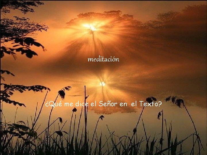 meditación ¿Qué me dice el Señor en el Texto? 