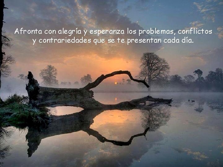 Afronta con alegría y esperanza los problemas, conflictos y contrariedades que se te presentan