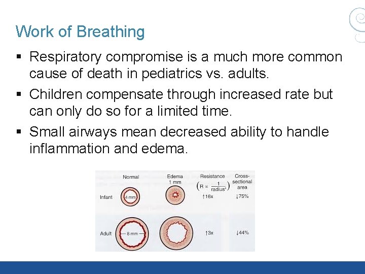 Work of Breathing § Respiratory compromise is a much more common cause of death Work of Breathing § Respiratory compromise is a much more common cause of death