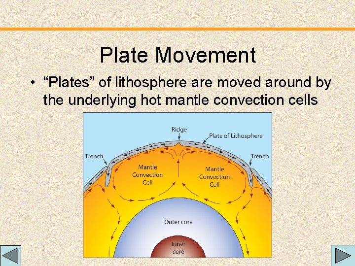 Plate Movement • “Plates” of lithosphere are moved around by the underlying hot mantle