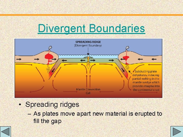 Divergent Boundaries • Spreading ridges – As plates move apart new material is erupted