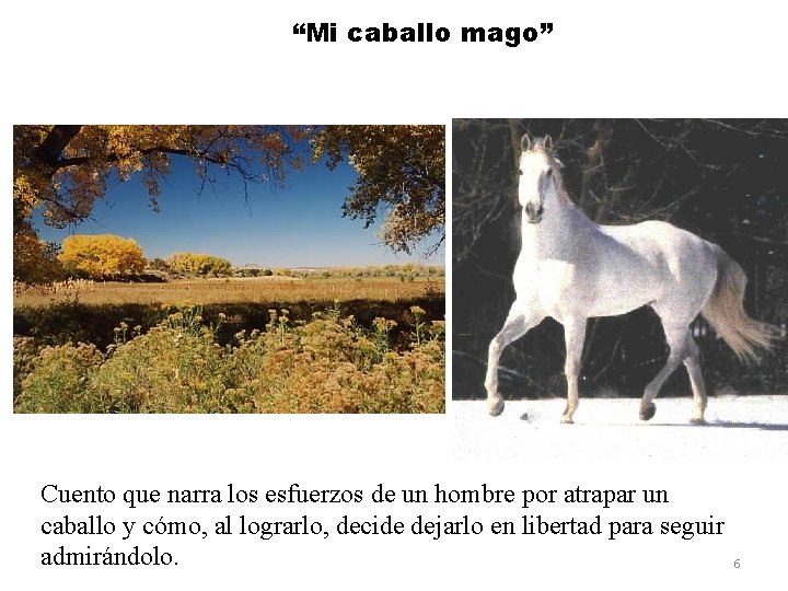 “Mi caballo mago” Cuento que narra los esfuerzos de un hombre por atrapar un “Mi caballo mago” Cuento que narra los esfuerzos de un hombre por atrapar un