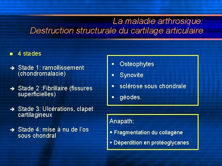 La maladie arthrosique: Destruction structurale du cartilage articulaire l 4 stades Stade 1: ramollissement