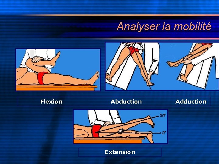Analyser la mobilité Flexion Abduction Extension Adduction 