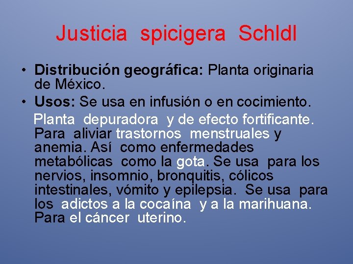 Justicia spicigera Schldl • Distribución geográfica: Planta originaria de México. • Usos: Se usa