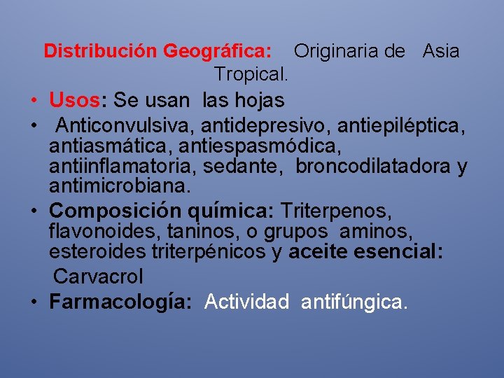 Distribución Geográfica: Originaria de Asia Tropical. • Usos: Se usan las hojas • Anticonvulsiva,