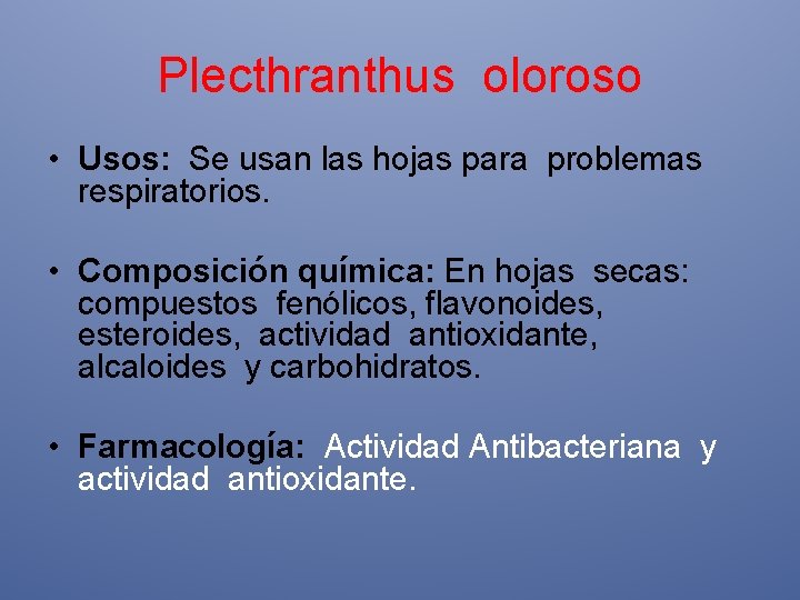 Plecthranthus oloroso • Usos: Se usan las hojas para problemas respiratorios. • Composición química: