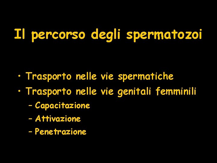 Il percorso degli spermatozoi • Trasporto nelle vie spermatiche • Trasporto nelle vie genitali