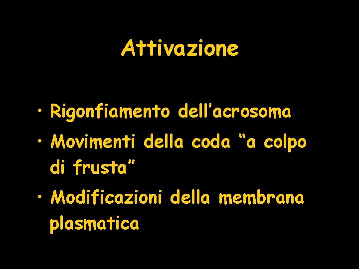 Attivazione • Rigonfiamento dell’acrosoma • Movimenti della coda “a colpo di frusta” • Modificazioni