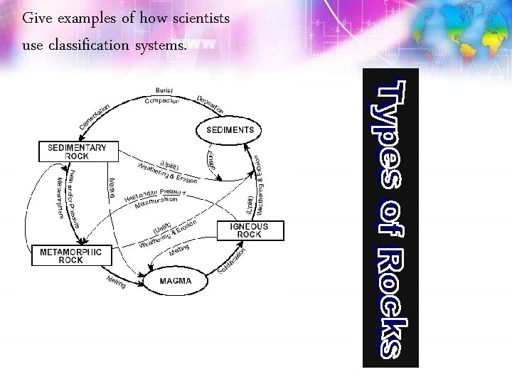 Give examples of how scientists use classification systems. 