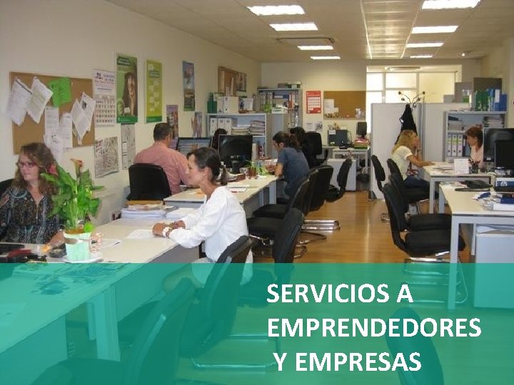 SERVICIOS A EMPRENDEDORES Y EMPRESAS 