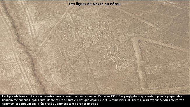 Les lignes de Nazca au Pérou Les lignes de Nazca ont été découvertes dans