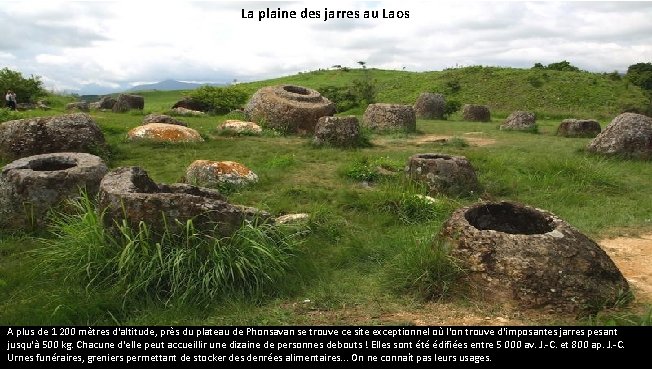 La plaine des jarres au Laos A plus de 1 200 mètres d'altitude, près