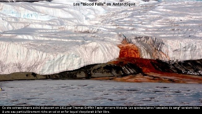 Les "Blood Falls" en Antarctique Ce site extraordinaire a été découvert en 1911 par