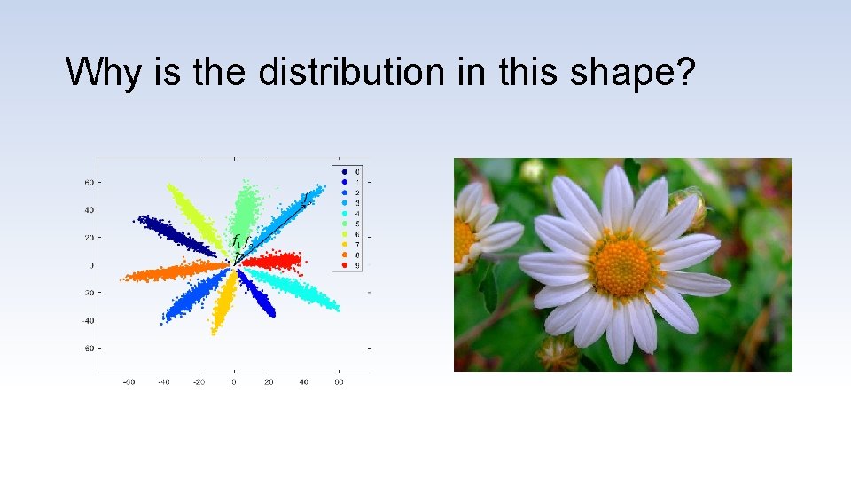 Why is the distribution in this shape? 