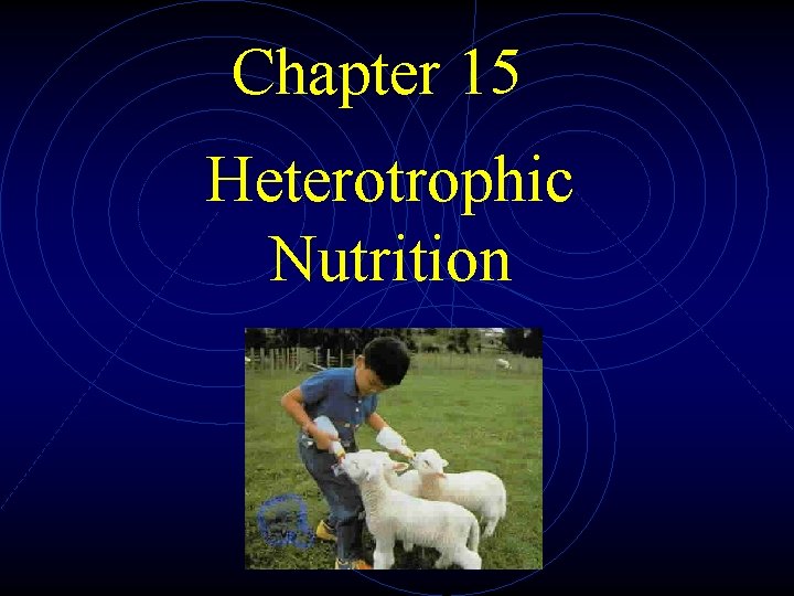 Chapter 15 Heterotrophic Nutrition Chapter 15 Heterotrophic Nutrition