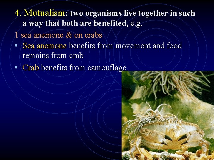 4. Mutualism: two organisms live together in such a way that both are benefited, 4. Mutualism: two organisms live together in such a way that both are benefited,