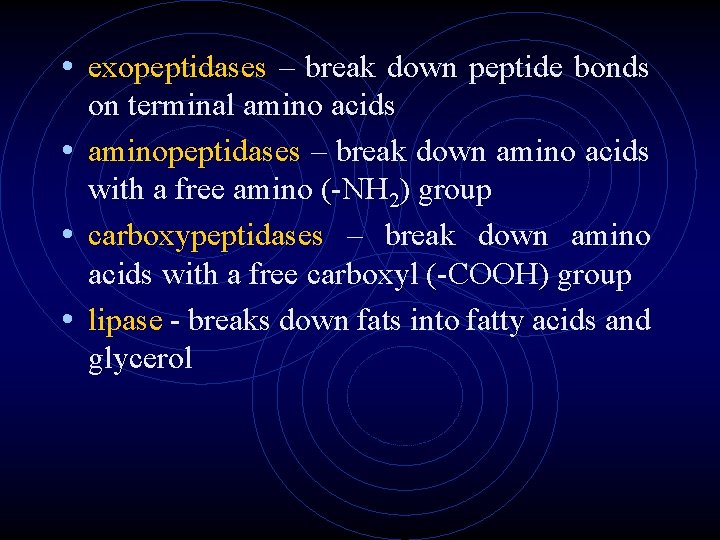 • exopeptidases – break down peptide bonds on terminal amino acids • aminopeptidases • exopeptidases – break down peptide bonds on terminal amino acids • aminopeptidases