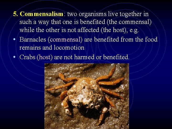 5. Commensalism: two organisms live together in such a way that one is benefited 5. Commensalism: two organisms live together in such a way that one is benefited