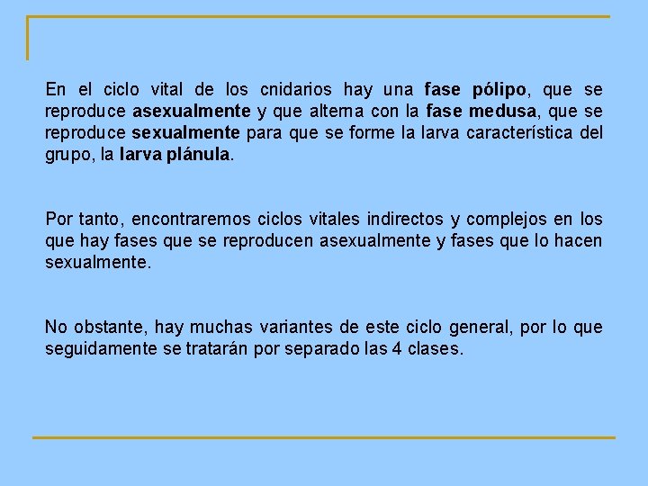 En el ciclo vital de los cnidarios hay una fase pólipo, que se reproduce En el ciclo vital de los cnidarios hay una fase pólipo, que se reproduce