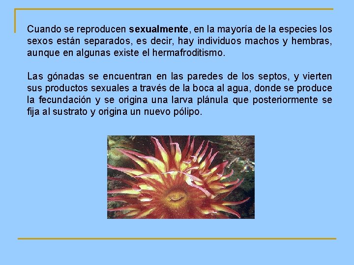 Cuando se reproducen sexualmente, en la mayoría de la especies los sexos están separados,