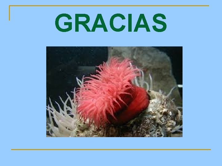 GRACIAS 