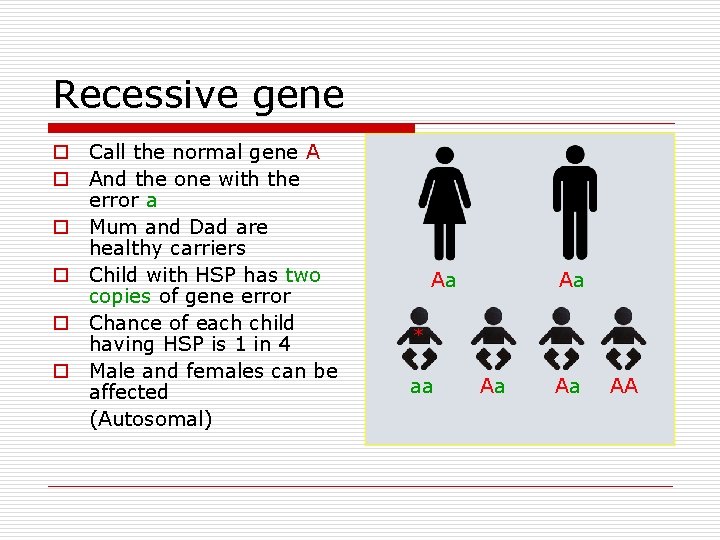 Recessive gene o Call the normal gene A o And the one with the