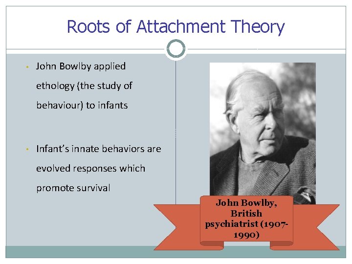 Roots of Attachment Theory • John Bowlby applied ethology (the study of behaviour) to