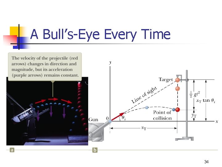 A Bull’s-Eye Every Time 34 A Bull’s-Eye Every Time 34