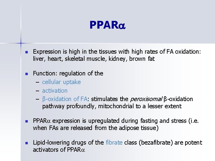 Receptors of fatty acids and endocannabinoids lipid rafts