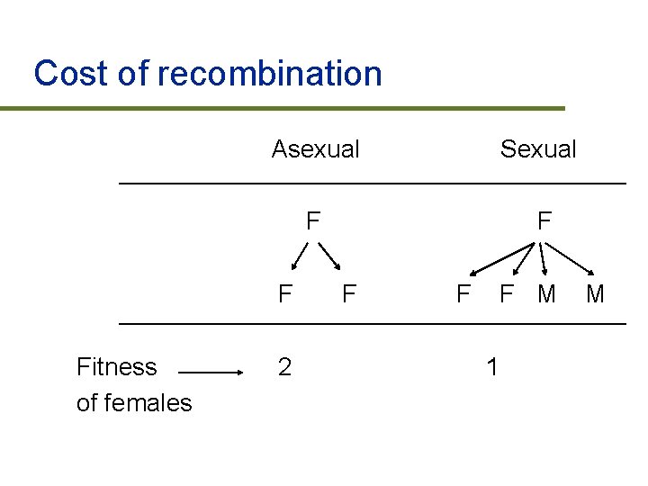 Cost of recombination Asexual Sexual F Fitness of females 2 F F F M