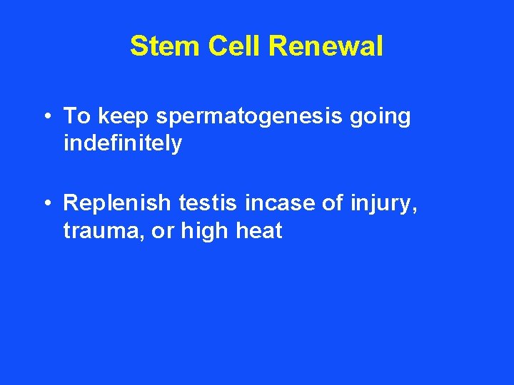 Stem Cell Renewal • To keep spermatogenesis going indefinitely • Replenish testis incase of