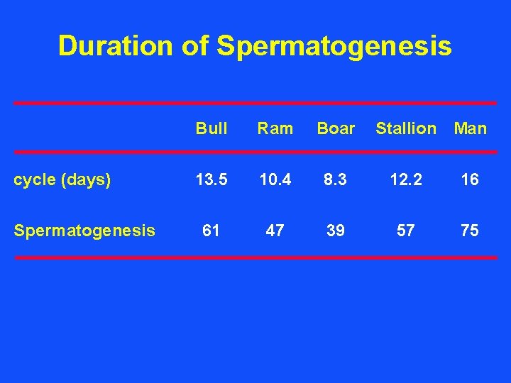Duration of Spermatogenesis cycle (days) Spermatogenesis Bull Ram Boar Stallion Man 13. 5 10.