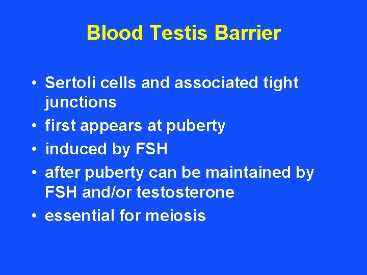 Blood Testis Barrier • Sertoli cells and associated tight junctions • first appears at