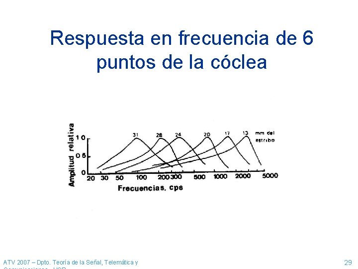 Respuesta en frecuencia de 6 puntos de la cóclea ATV 2007 – Dpto. Teoría