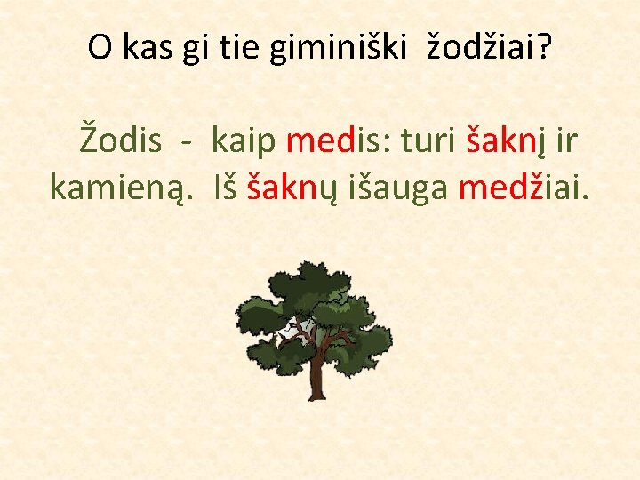 O kas gi tie giminiški žodžiai? Žodis - kaip medis: turi šaknį ir kamieną.