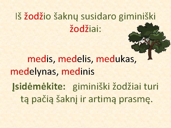 Iš žodžio šaknų susidaro giminiški žodžiai: medis, medelis, medukas, medelynas, medinis Įsidėmėkite: giminiški žodžiai