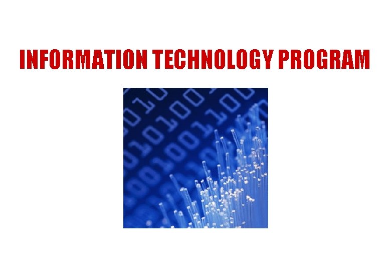 INFORMATION TECHNOLOGY PROGRAM 