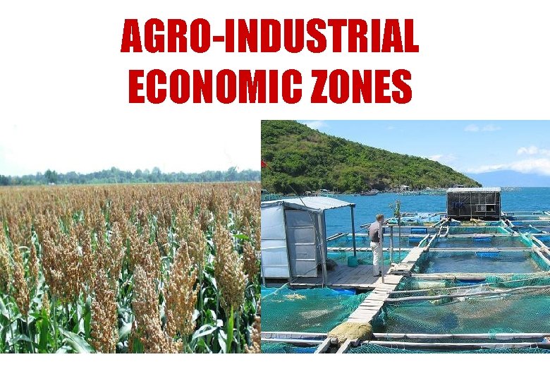 AGRO-INDUSTRIAL ECONOMIC ZONES 