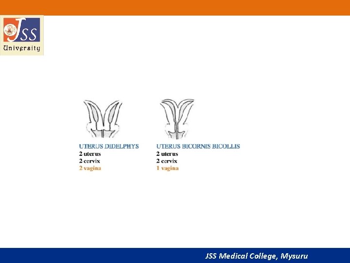 JSS Medical College, Mysuru 