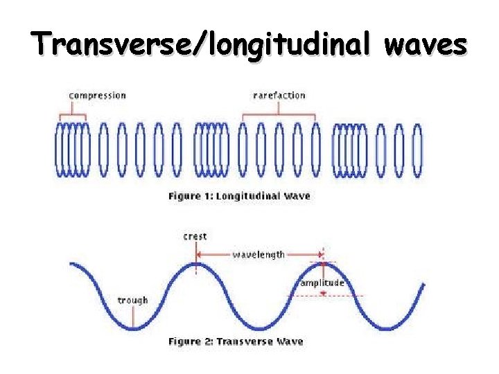 Transverse/longitudinal waves Transverse/longitudinal waves