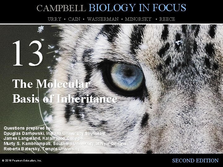 CAMPBELL BIOLOGY IN FOCUS URRY • CAIN • WASSERMAN • MINORSKY • REECE 13