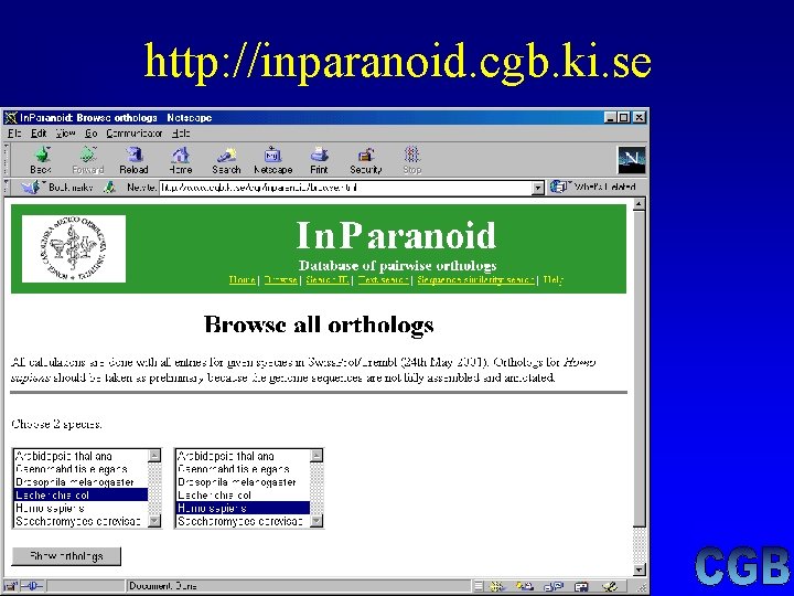 http: //inparanoid. cgb. ki. se http: //inparanoid. cgb. ki. se