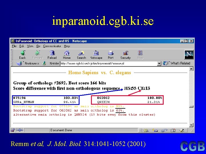 inparanoid. cgb. ki. se Homo Sapiens vs. C. elegans Remm et al, J. Mol. inparanoid. cgb. ki. se Homo Sapiens vs. C. elegans Remm et al, J. Mol.