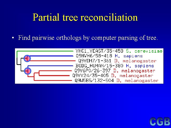 Partial tree reconciliation • Find pairwise orthologs by computer parsing of tree. Partial tree reconciliation • Find pairwise orthologs by computer parsing of tree.