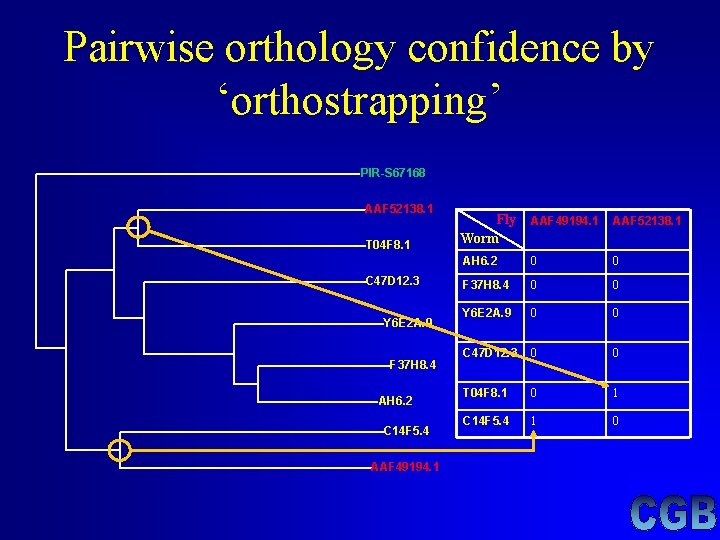 Pairwise orthology confidence by ‘orthostrapping’ PIR-S 67168 AAF 52138. 1 T 04 F 8. Pairwise orthology confidence by ‘orthostrapping’ PIR-S 67168 AAF 52138. 1 T 04 F 8.