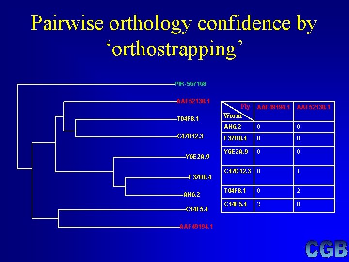 Pairwise orthology confidence by ‘orthostrapping’ PIR-S 67168 AAF 52138. 1 T 04 F 8. Pairwise orthology confidence by ‘orthostrapping’ PIR-S 67168 AAF 52138. 1 T 04 F 8.